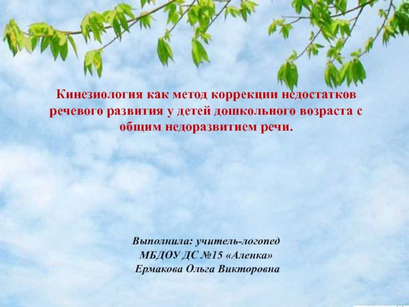 Кинезиология как метод коррекции недостатков речевого развития у детей дошкольного возраста с общим недоразвитием речи. 