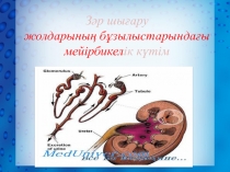 Зәр шығару
жолдарының бұзылыстарындағы мейірбикел ік күтім