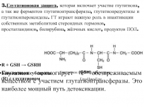 нервная ткань