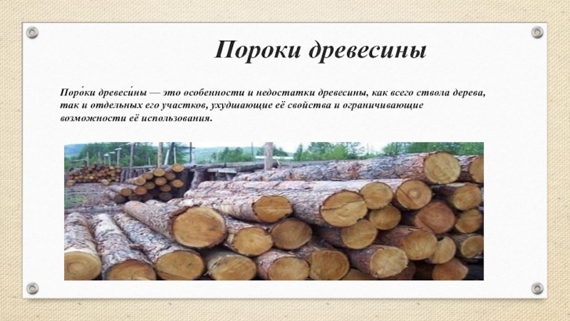 Пороки древесины 5 класс
