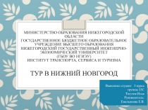 Министерство образования Нижегородской области Государственное бюджетное