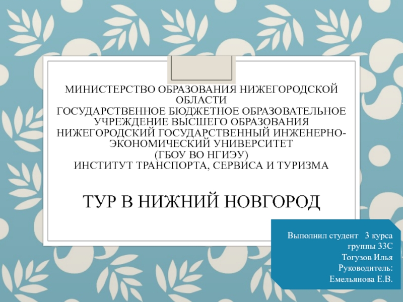 Презентация Министерство образования Нижегородской области Государственное бюджетное