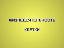 Жизнедеятельность клетки