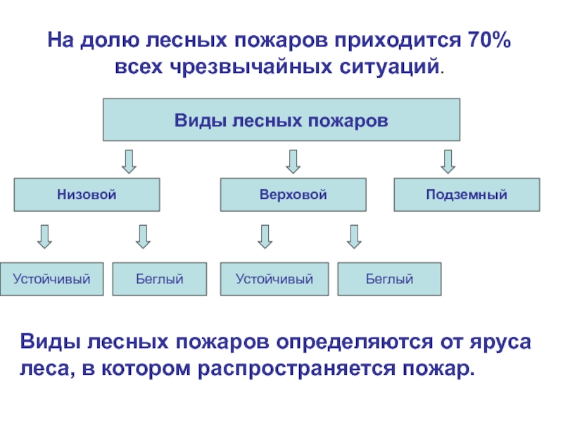 Курсовая Работа На Тему Лесные Пожары