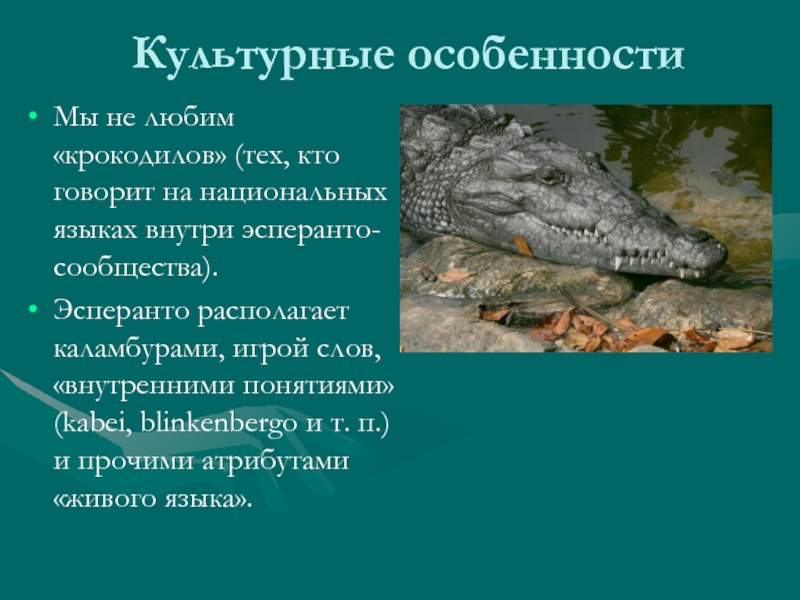 Значение крокодилов в жизни. Любовь крокодилов. Любимый крокодил. Крокодиловы слёзы значение.