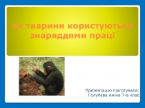 як тварини користуються знаряддями праці