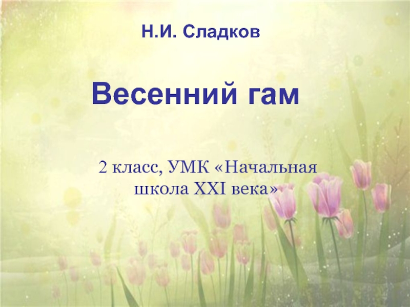 Весенний гам — Н.И. Сладков