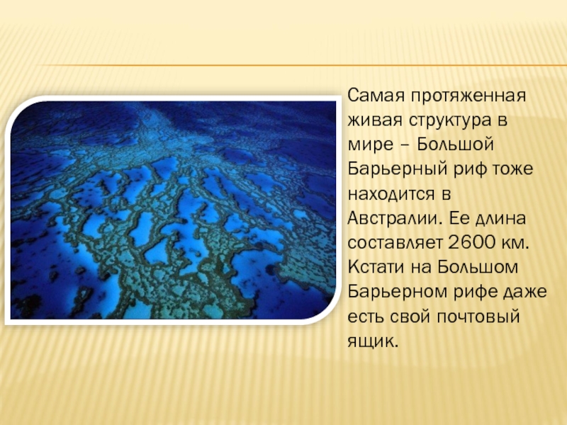 Австралия факты. Интересные факты об Австралии. Австралия интересные факты об Австралии. Материк Австралия факты. Интересные факты о материке Австралия.