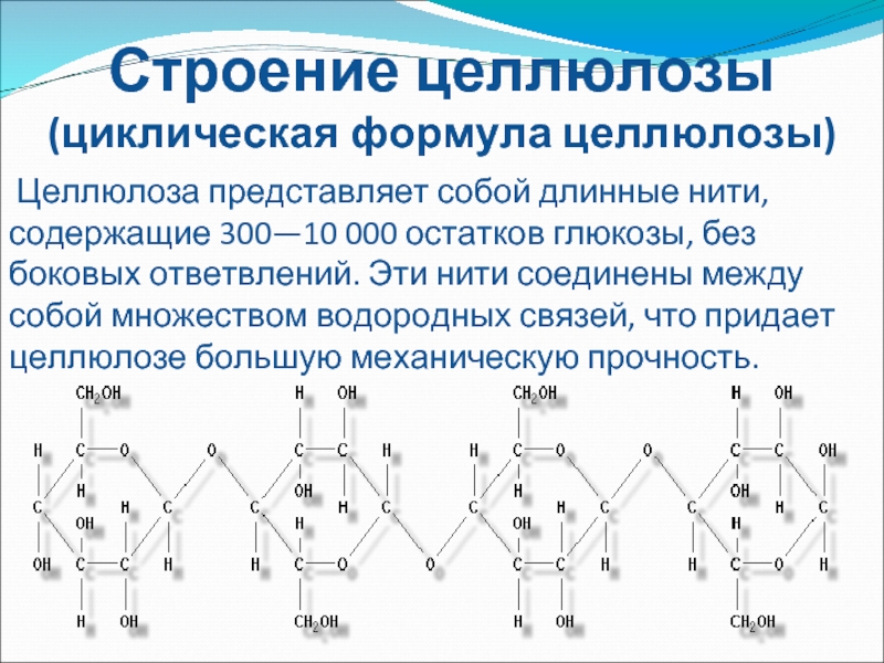 Циклический изомер целлюлозы. Целлюлоза строение. Номенклатура целлюлозы. Целлюлоза структурная формула.