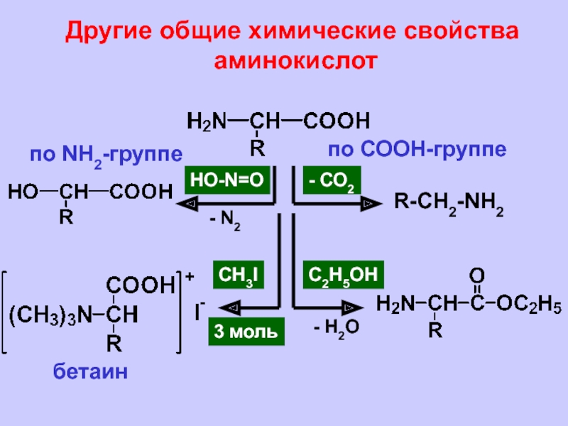 Аминокислоты в полипептиде соединены. Амины аминокислоты полипептиды. Аминокислота полипептид. Полипептиды химические свойства. Характеристика полипептидов химия.