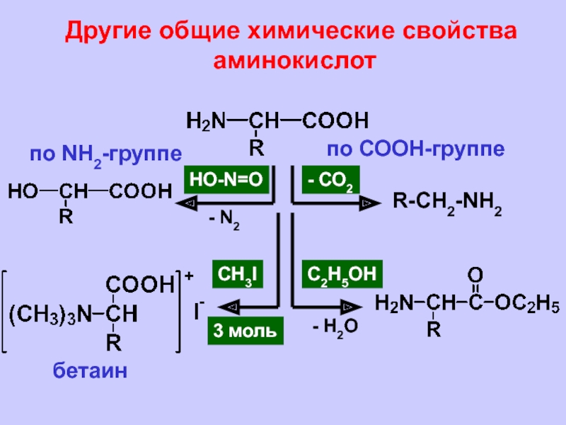 Полипептиды список