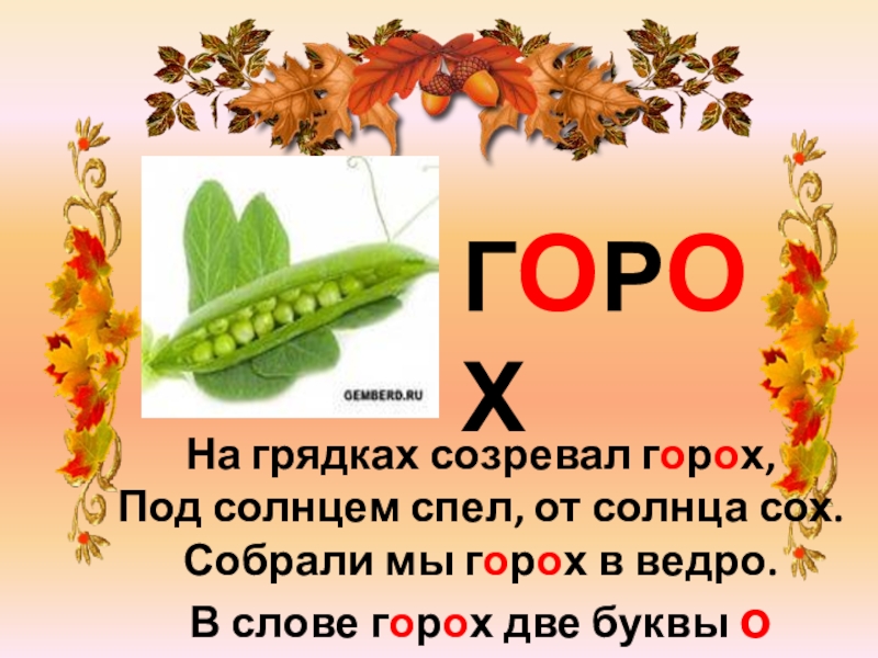 Слово горох с суффиксами. Горох словарное слово. Предложение со словом горох.