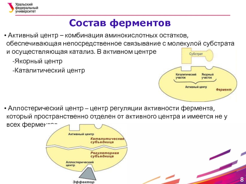 Характеристика активного центра