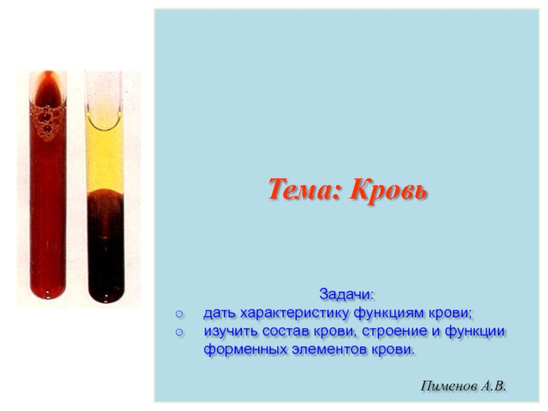 Презентация Пименов А.В.
Задачи:
дать характеристику функциям крови;
изучить состав крови,
