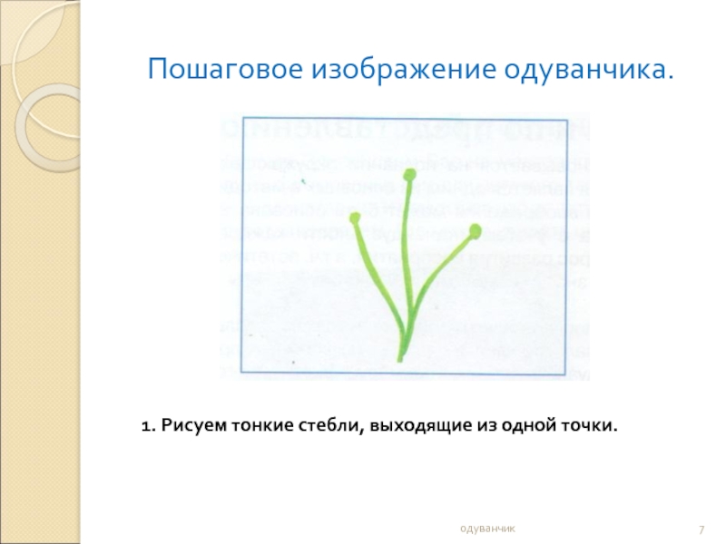 Рисование одуванчика 1 класс презентация