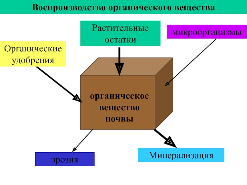 Органические вещества попадая в почву. Воспроизводство плодородия почвы. Методы воспроизводства плодородия почв. Воспроизводство органического вещества почвы. Простое и расширенное воспроизводство плодородия почв.