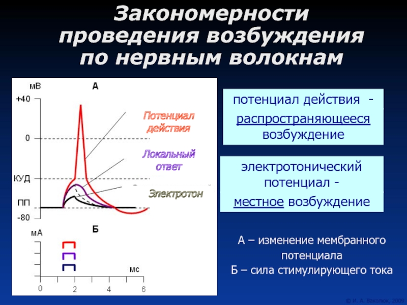 Электрическое возбуждение. Электротонический потенциал и локальный ответ. Изменение мембранного потенциала. Закон изолированного проведения возбуждения по нервному волокну. Электротонический потенциал.