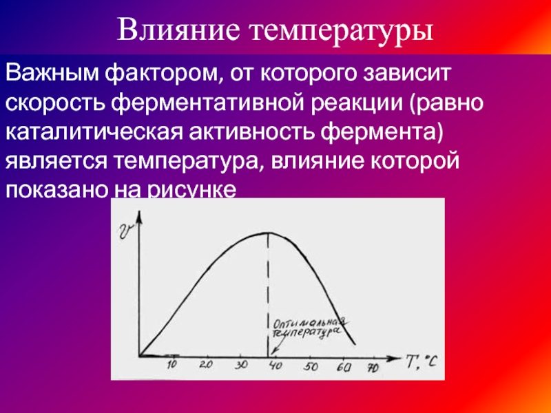 Скорость реакции от температуры. Температурный Оптимум ферментативной реакции. График зависимости скорости ферментативной реакции от температуры. Графики зависимости скорости ферментативной реакции от температуры. Зависимость скорости ферментативной реакции от температуры.