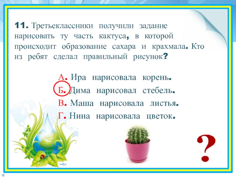 Восстанови последовательность плана текста как кактусы обходятся без воды