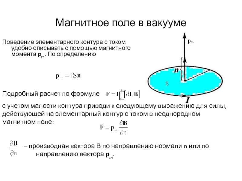 Электрическое поле в вакууме. Элементарный ток в магнитном поле. Магнитное поле постоянного тока в вакууме. Магнитный момент витка с током формула. Магнитный момент кругового тока формула.