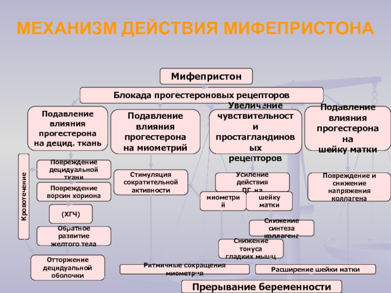 Мифепристон шейка матки. Механизм действия мифепристона. Препарат для стимуляции родов мифепристон. Таблетка для стимуляции родов мифепристон. После мифепристона.