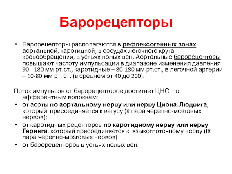 Барорецепторы это. Барорецепторы. Классификация барорецепторов. Барорецепторы функции. Барорецепторы строение.