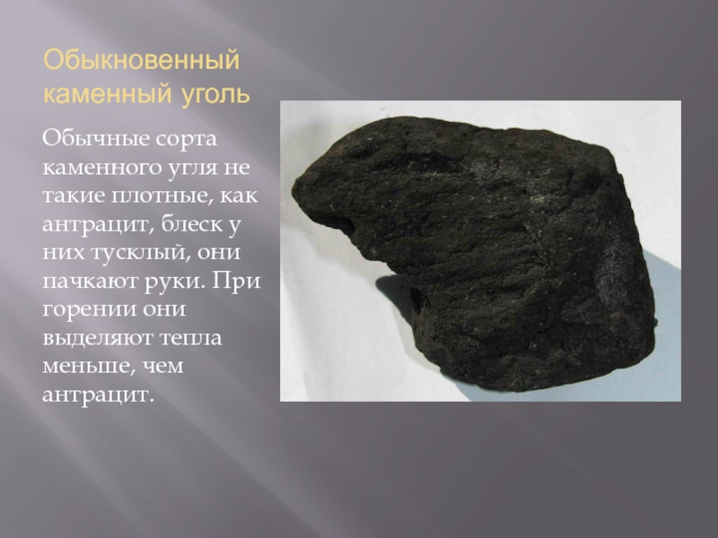 Особенности каменного угля