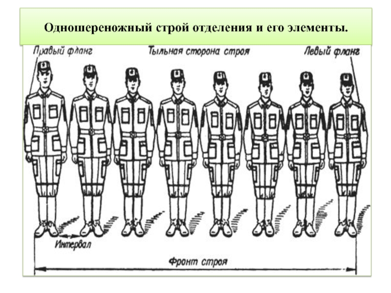 Ряд в строю. Одношереножный Строй шеренга и его элементы. Одношереножный Строй и двухшереножный Строй. Двухшереножный Строй и его элементы. Строевые элементы.