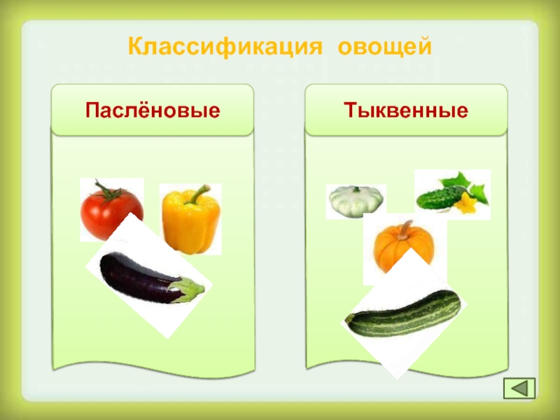 Разбор слова овощи. Классы овощей. Схема слова овощи. Слова овощи сделать схемк2 класм.