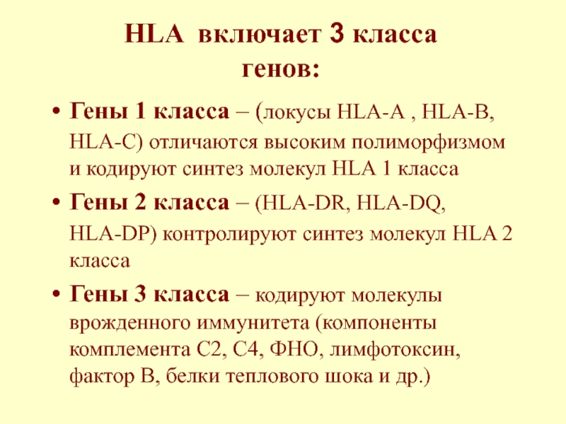 HLA включает 3 класса  генов:Гены 1 класса – (локусы HLA-А , HLA-В, HLA-С) отличаются высоким полиморфизмом
