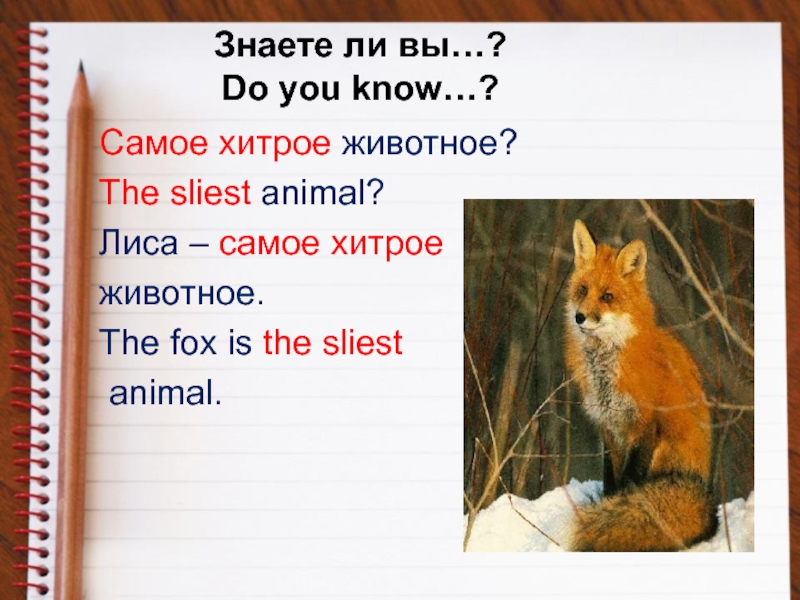 Английский язык написать про животного