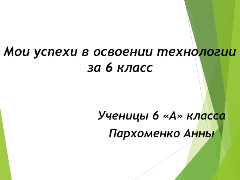 Мои успехи в освоении технологии за 6 класс