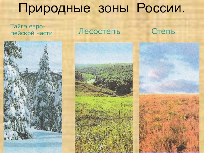 Зоны россии 6 класс. Природные зоны России. Природные зоны иллюстрации. Природные зоны России рисунок. Название природных зон России.