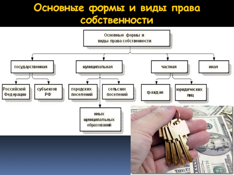 План на тему право собственности