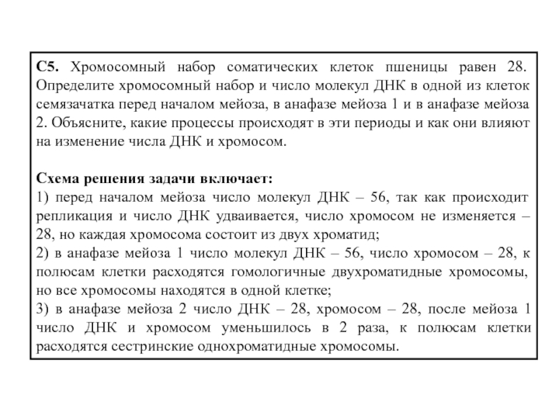 Определите число молекул днк в анафазе. Хромосомный набор соматических клеток пшеницы. Число хромосом и молекул ДНК. Определите набор хромосом и молекул ДНК В клетке. Набор хромосом и число молекул ДНК В клетке.