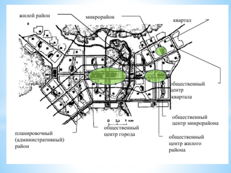 Карта ботаники екатеринбург