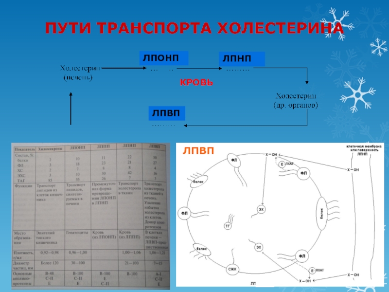 28 путь