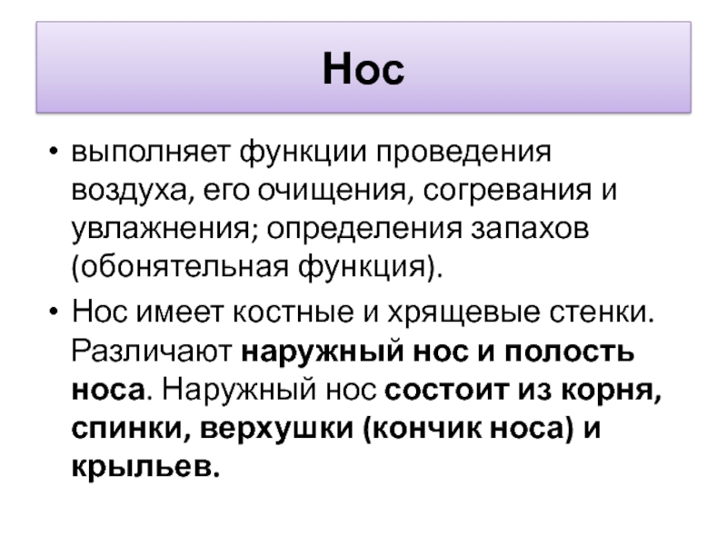 Проведение воздуха. Функции носа. Переносица функция. Функция проведения. Защитная функция носа согревание воздуха.