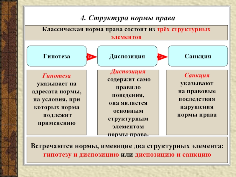 Структура нормы права презентация