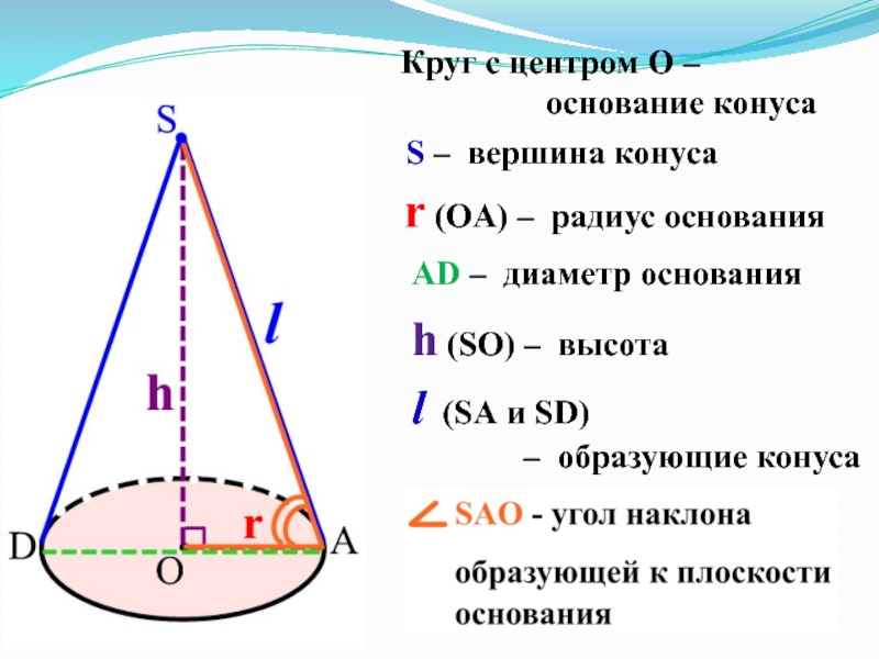 Радиус основания конуса вершиной. Диаметр основания конуса. Вершина конуса. Основаниям конуса является КРКН С центром. Наклон образующей конуса к его вершине.