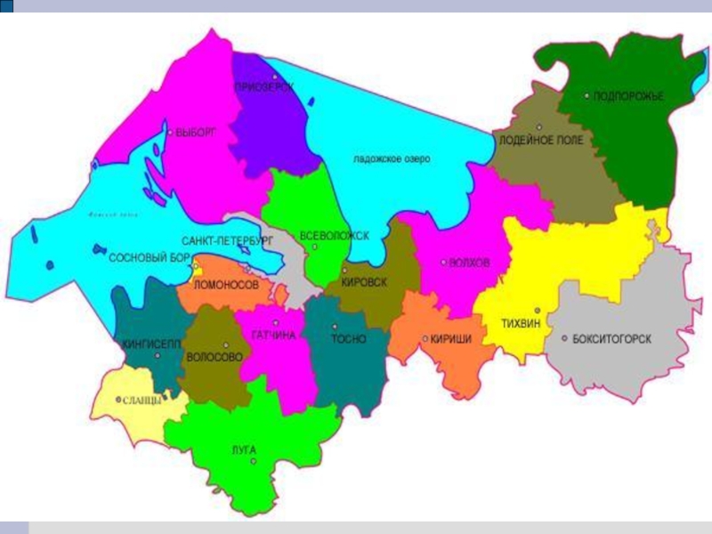 Сколько районов. Районы Ленобласти на карте. Районы лен обл на карте. Карта Ленинградской области по районам. Ленинградская область карта подробная по районам.