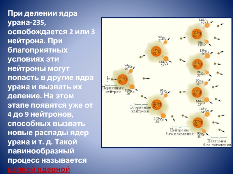 Ядерный уран. Цепная реакция урана 235. Схема распада ядра урана 235. Реакция распада урана. Схема деления ядер урана 235.