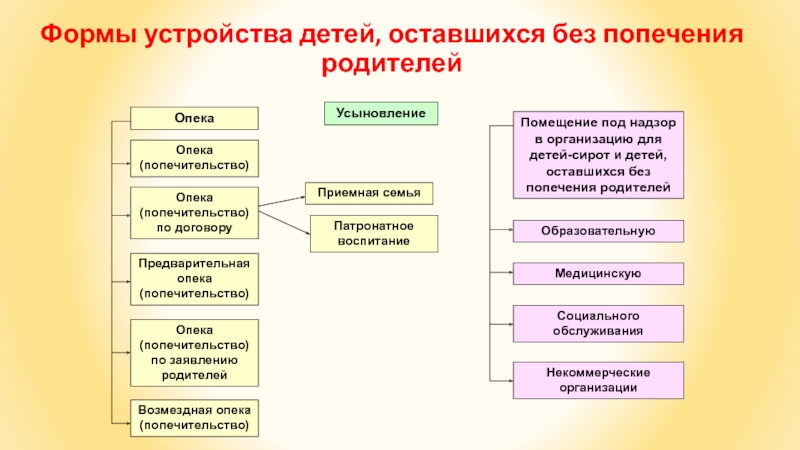 Форма устройства детей оставшихся без родителей. Формы воспитания детей оставшихся без попечения родителей схема. Формы устройства детей оставшихся без попечения родителей. Приоритетная форма устройства детей оставшихся без попечения. Формы устройства детей оставшихся без попечения родителей таблица.