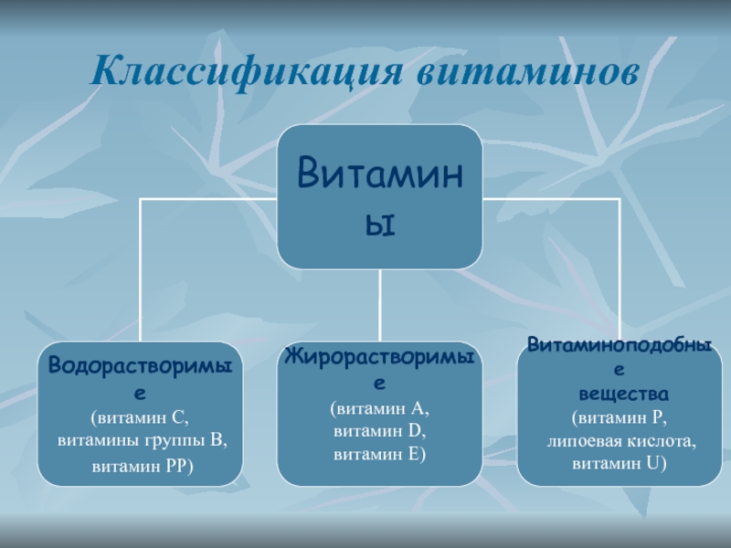 Классификация витаминов