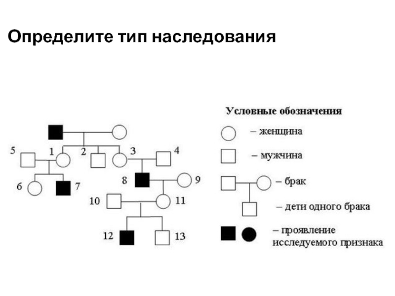 По изображенной на схеме родословной человека определите вероятность в процентах рождения ребенка