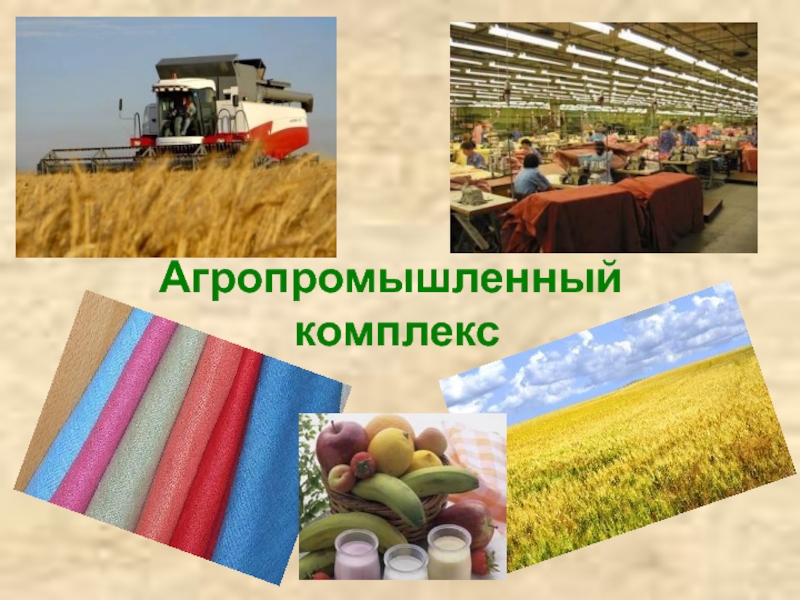 АПК России пищевая и легкая промышленность