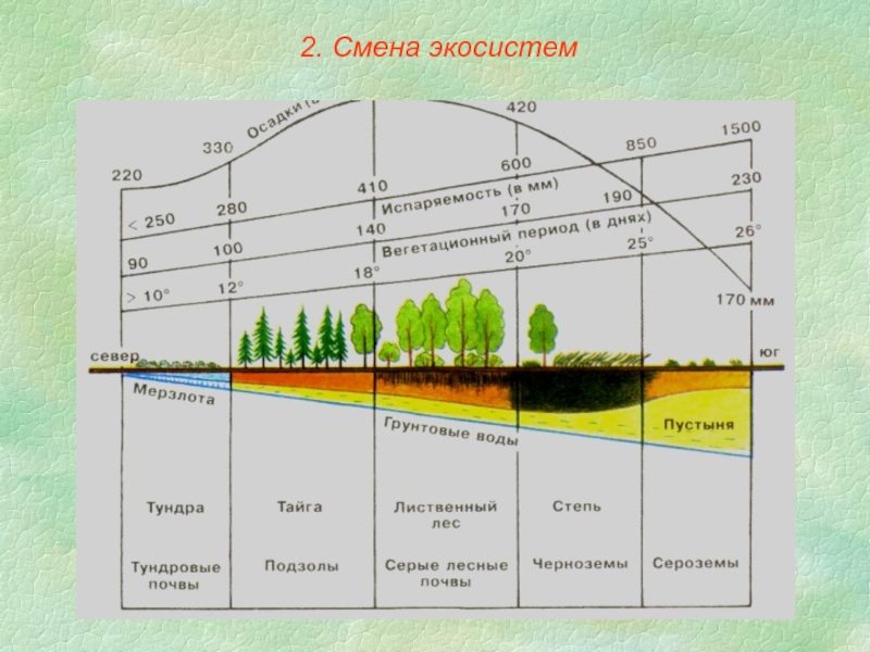 Причины смены биогеоценозов схема