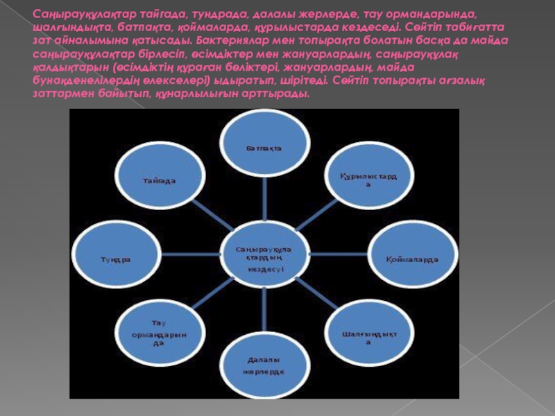 Тірі ағзалардың қоршаған орта жағдайларына бейімделуі презентация