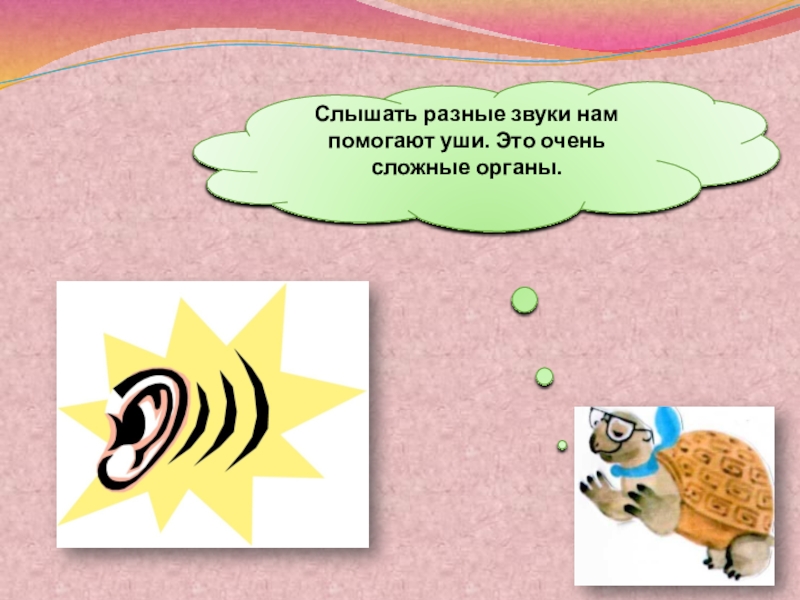 Различные звуки текстом. Слышать разные звуки. Почему звенит звонок 1 класс школа России презентация. Звук который слышится по разному. Почему звуки разные.