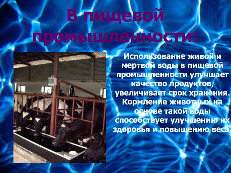 Вода в пищевой промышленности. Использование живой и мертвой воды. Использование воды в пищевой промышленности. Применение воды в промышленности.